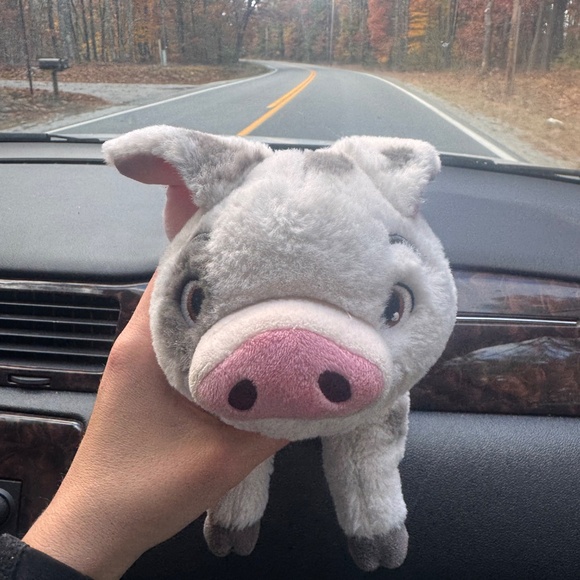 Pua disneys orginal stuffie - Picture 6 of 7